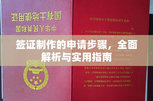 内丘签证制作的申请步骤，全面解析与实用指南